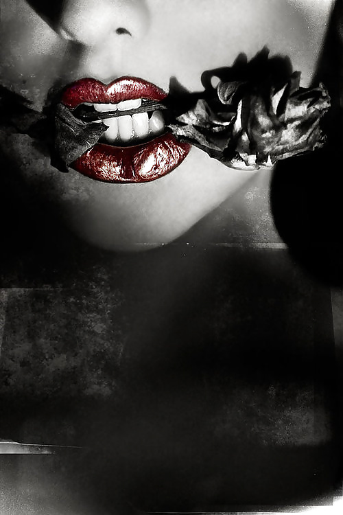 Thepilgrim
 #29500491