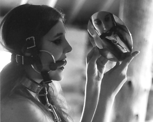 Le haras 78
 #24030340