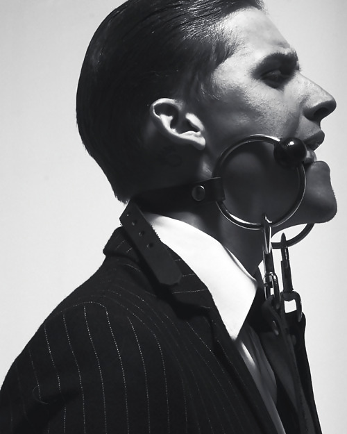 Le haras 78
 #24030346