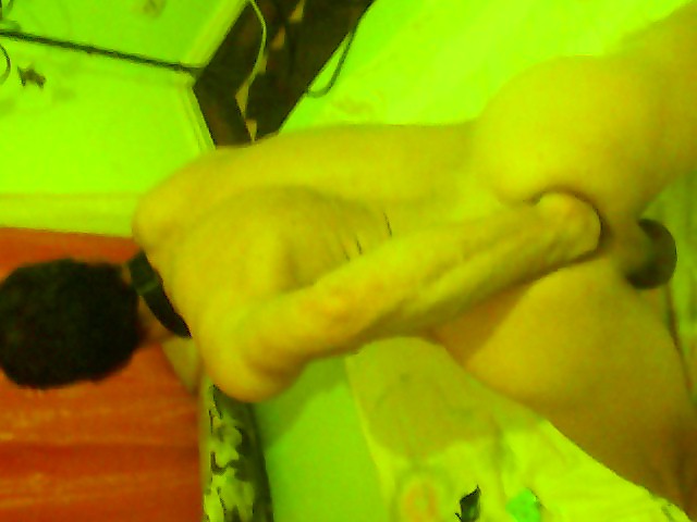 Recentes 
 #23642248