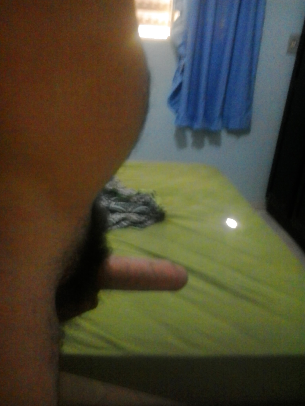 Gaucho 1013 #36168090