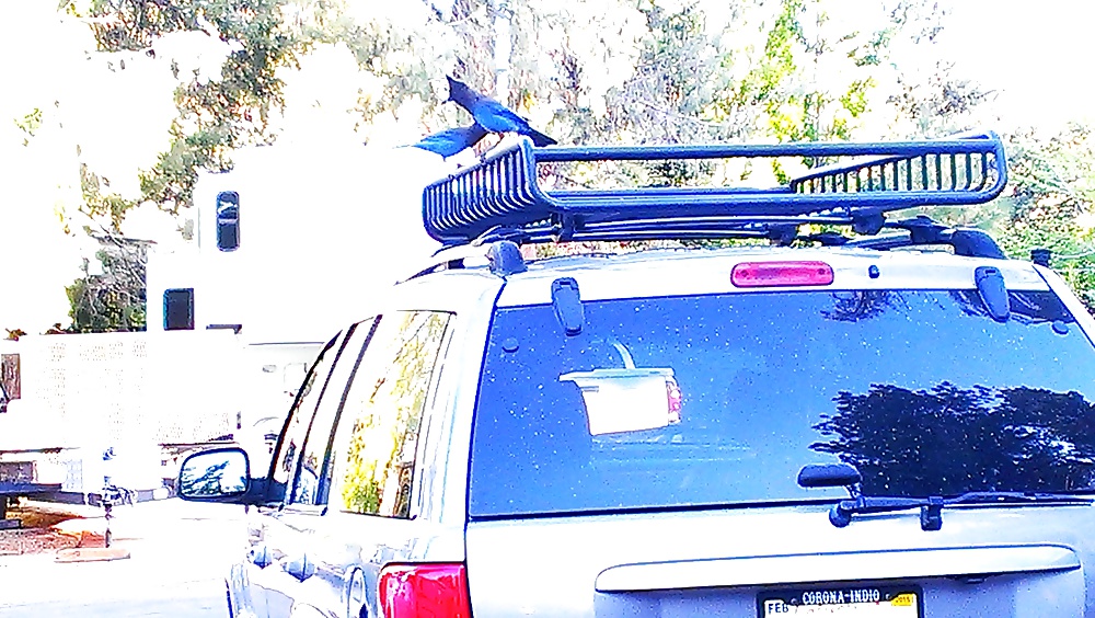 Non pervy interests #34520526