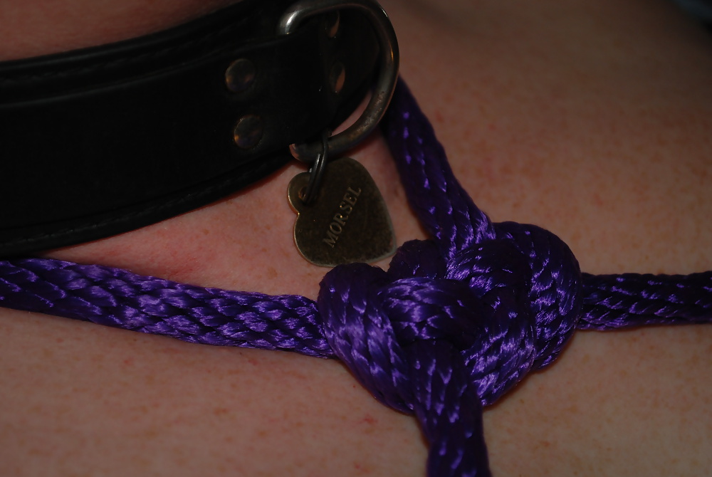 Some kinky fun #24373251