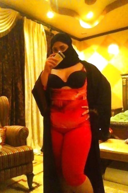 Perra árabe
 #27529988