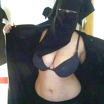 Perra árabe
 #27530008