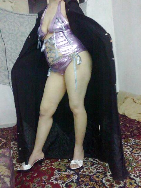 Perra árabe
 #27530096