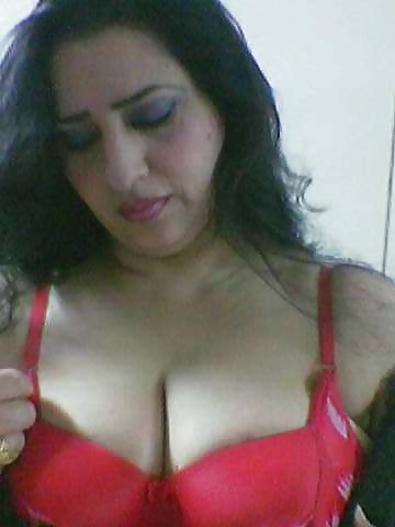 Perra árabe
 #27530104