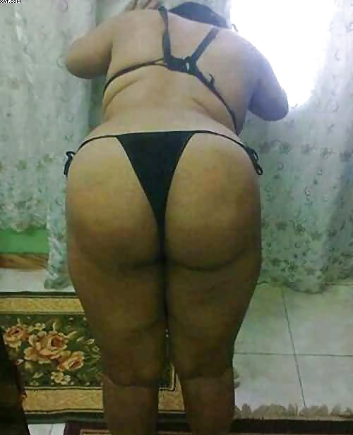 Perra árabe
 #27530136