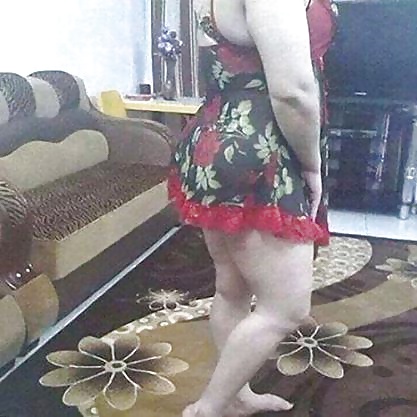 Perra árabe
 #27530177