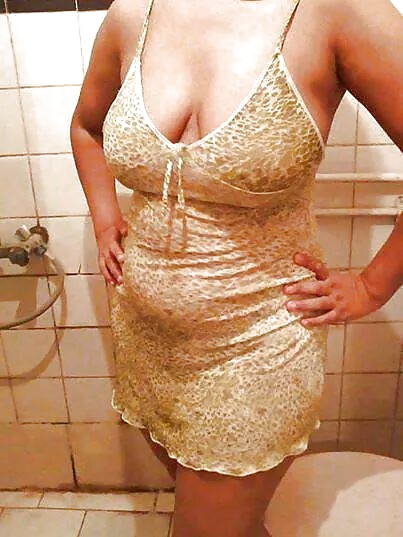 Perra árabe
 #27530211