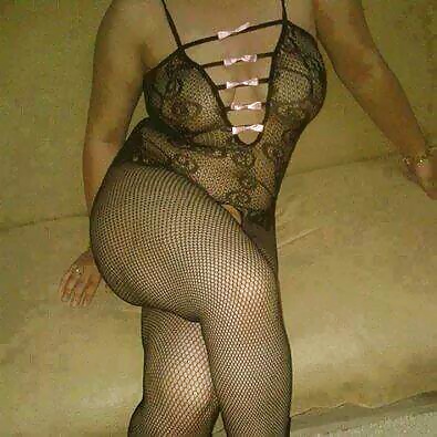 Perra árabe
 #27530220