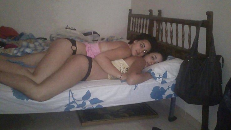 Perra árabe
 #27530468