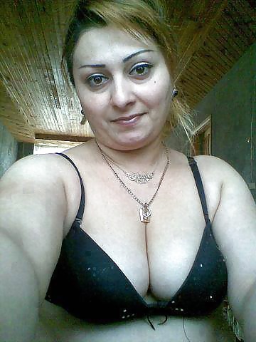 Perra árabe
 #27530525