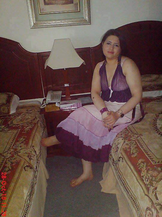 Perra árabe
 #27530945