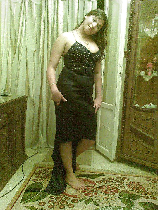 Perra árabe
 #27530956