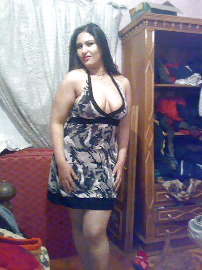 Perra árabe
 #27531014