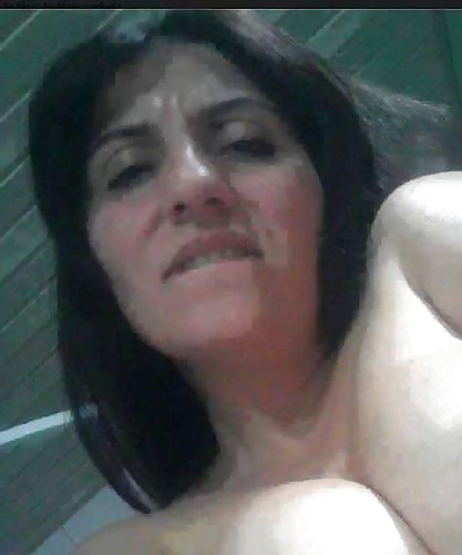 Perra árabe
 #27531136