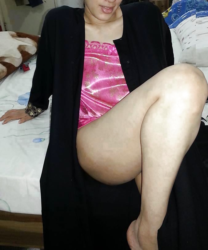 Perra árabe
 #27531440