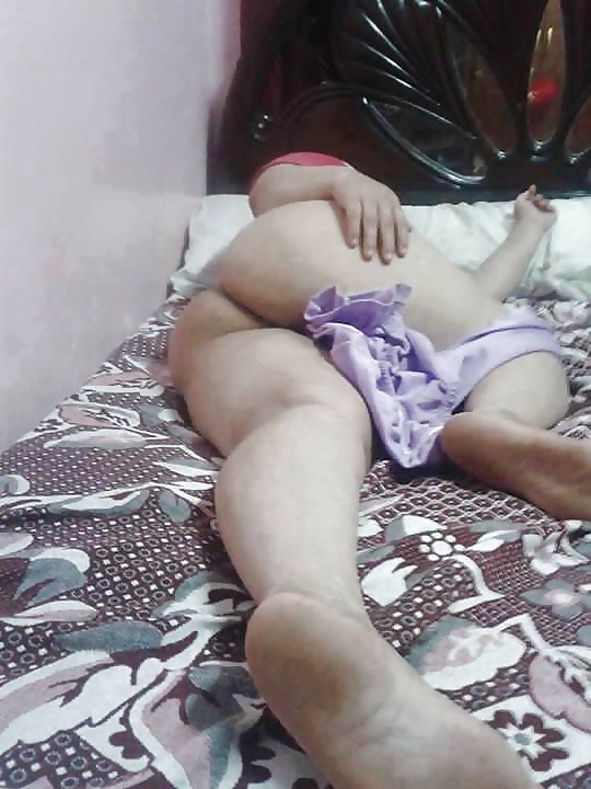 Perra árabe
 #27531516