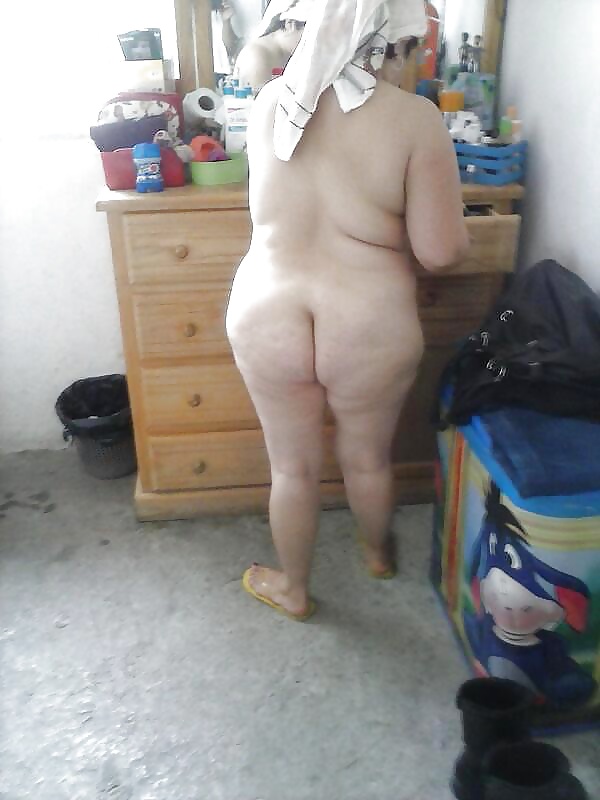 Perra árabe
 #27531521