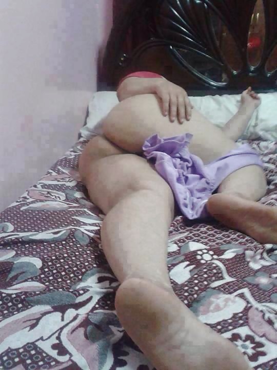 Perra árabe
 #27531866