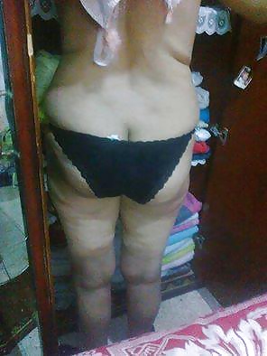 Perra árabe
 #27532192