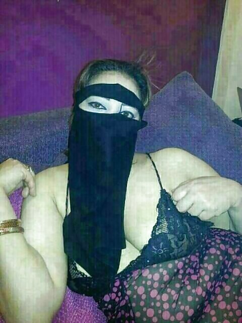 Perra árabe
 #27532240