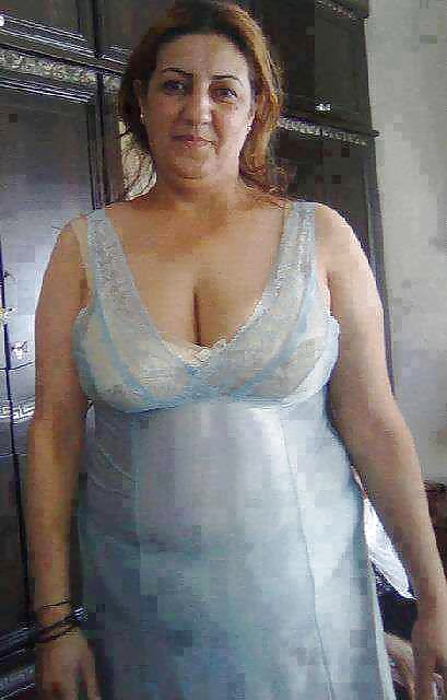 Perra árabe
 #27532244