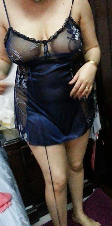 Perra árabe
 #27532544