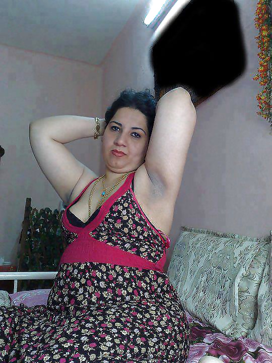 Perra árabe
 #27532560