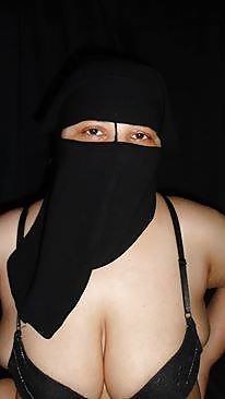 Perra árabe
 #27532652