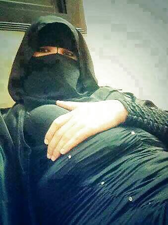 Perra árabe
 #27532661