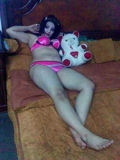 Perra árabe
 #27532686