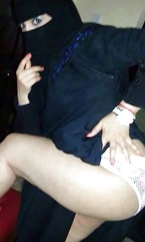 Perra árabe
 #27532713