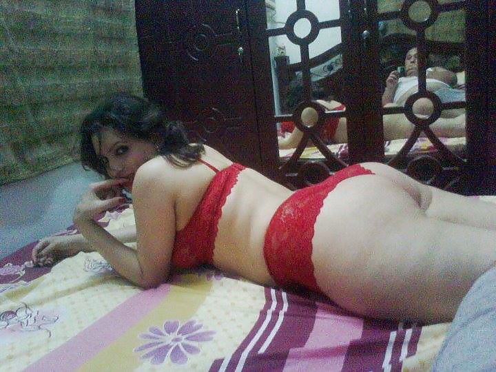 Perra árabe
 #27532911