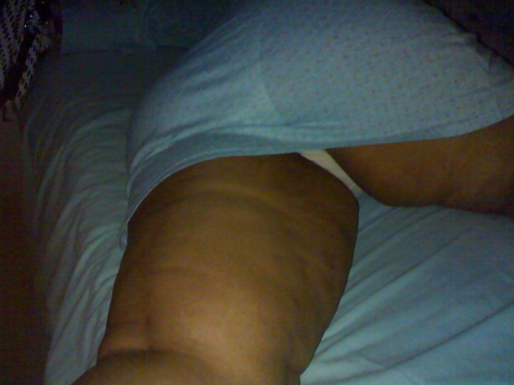 Perra árabe
 #27532923