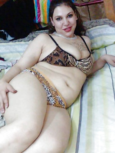 Perra árabe
 #27533228