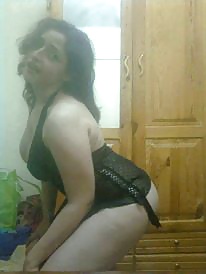 Perra árabe
 #27533306