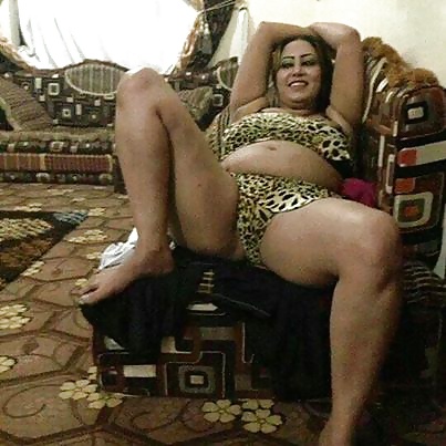 Perra árabe
 #27533341