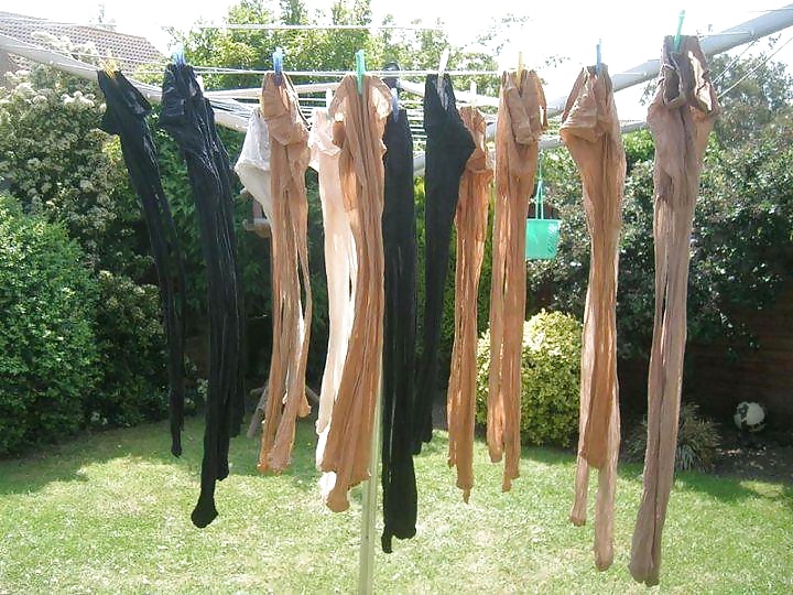 My tights pantyhose nylons stockings drying  #27240363