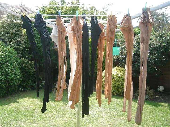 Mis medias pantyhose nylons stockings drying 
 #27240363