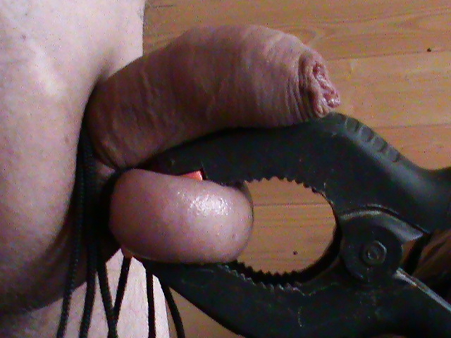 CBT #27959628