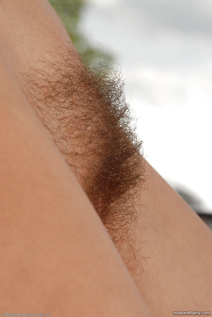 Hairy pussy whores 4 #35907140