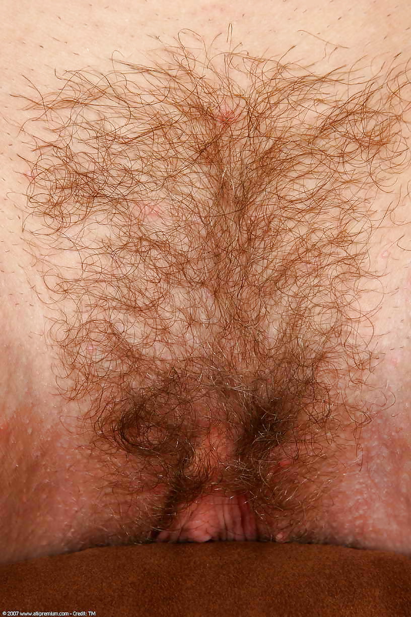 Hairy pussy whores 4 #35907164