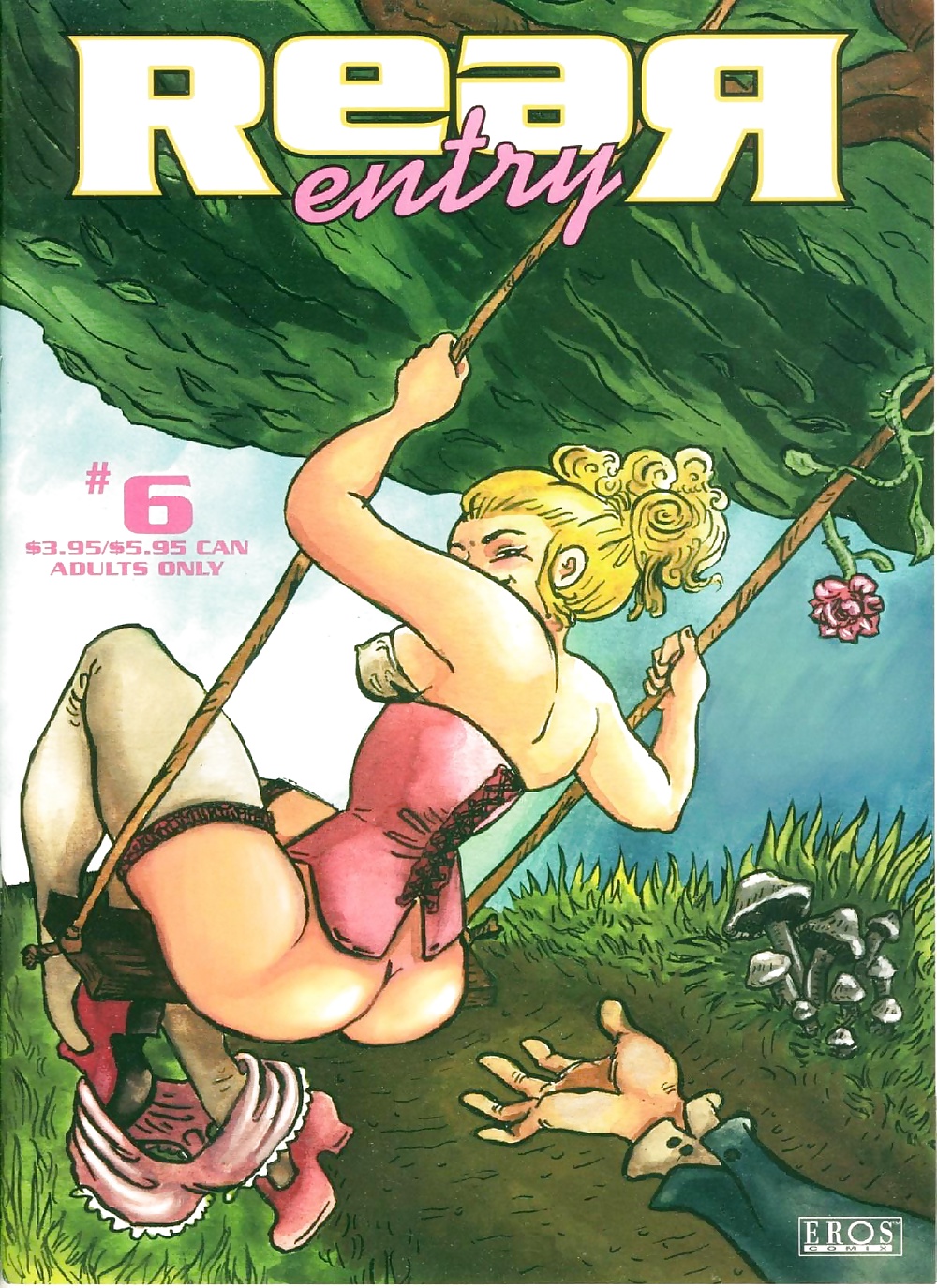 Entrada trasera 6
 #38534788