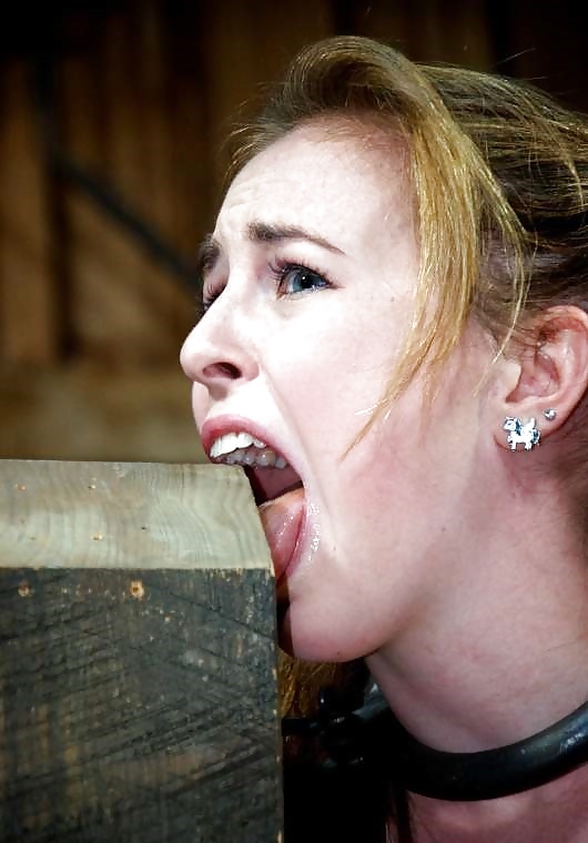 Mattie borders bdsm mix
 #36051792