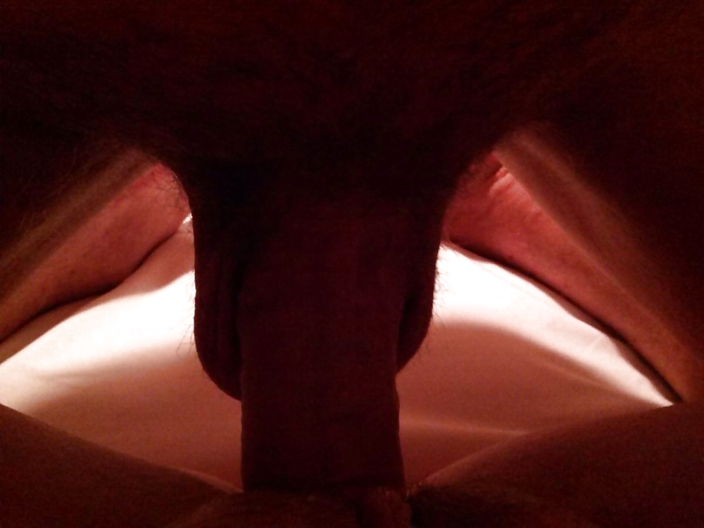 El nuevo toro de la esposa
 #27713922