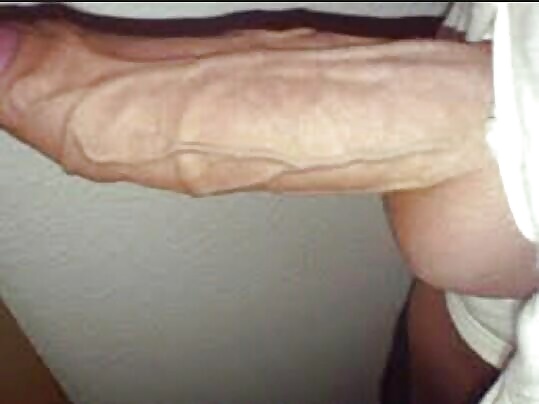 El nuevo toro de la esposa
 #27713993