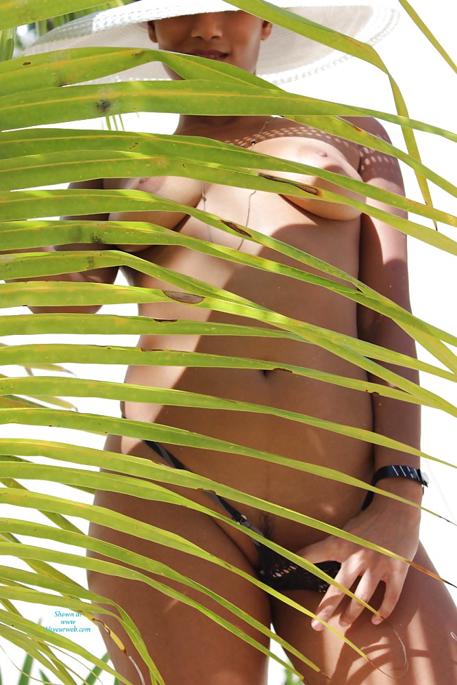 私は235が好き
 #36030591