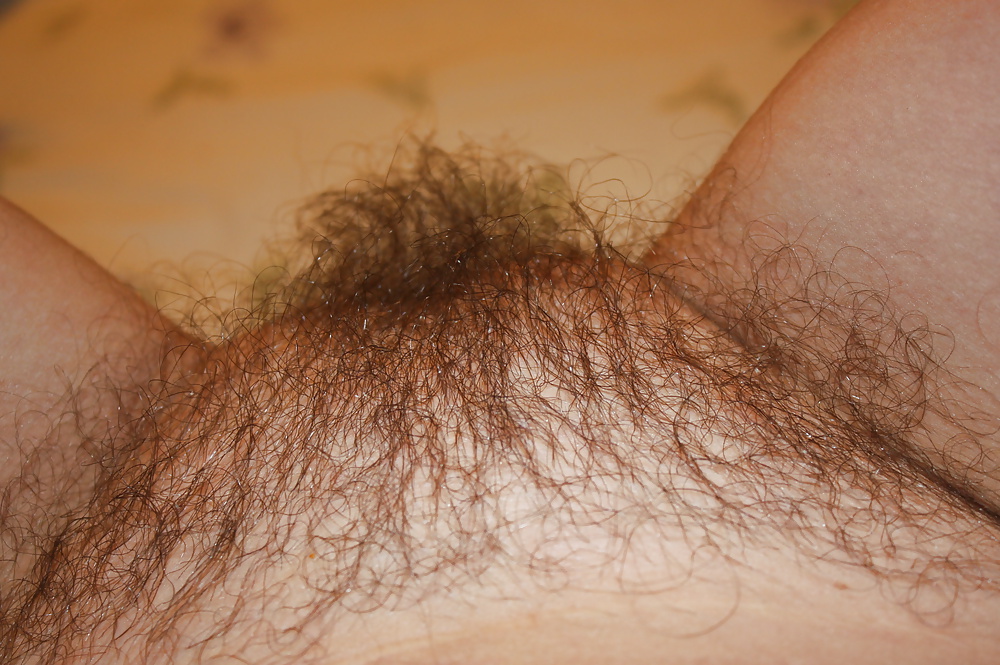 Wife hairy pussy 3 #35592719